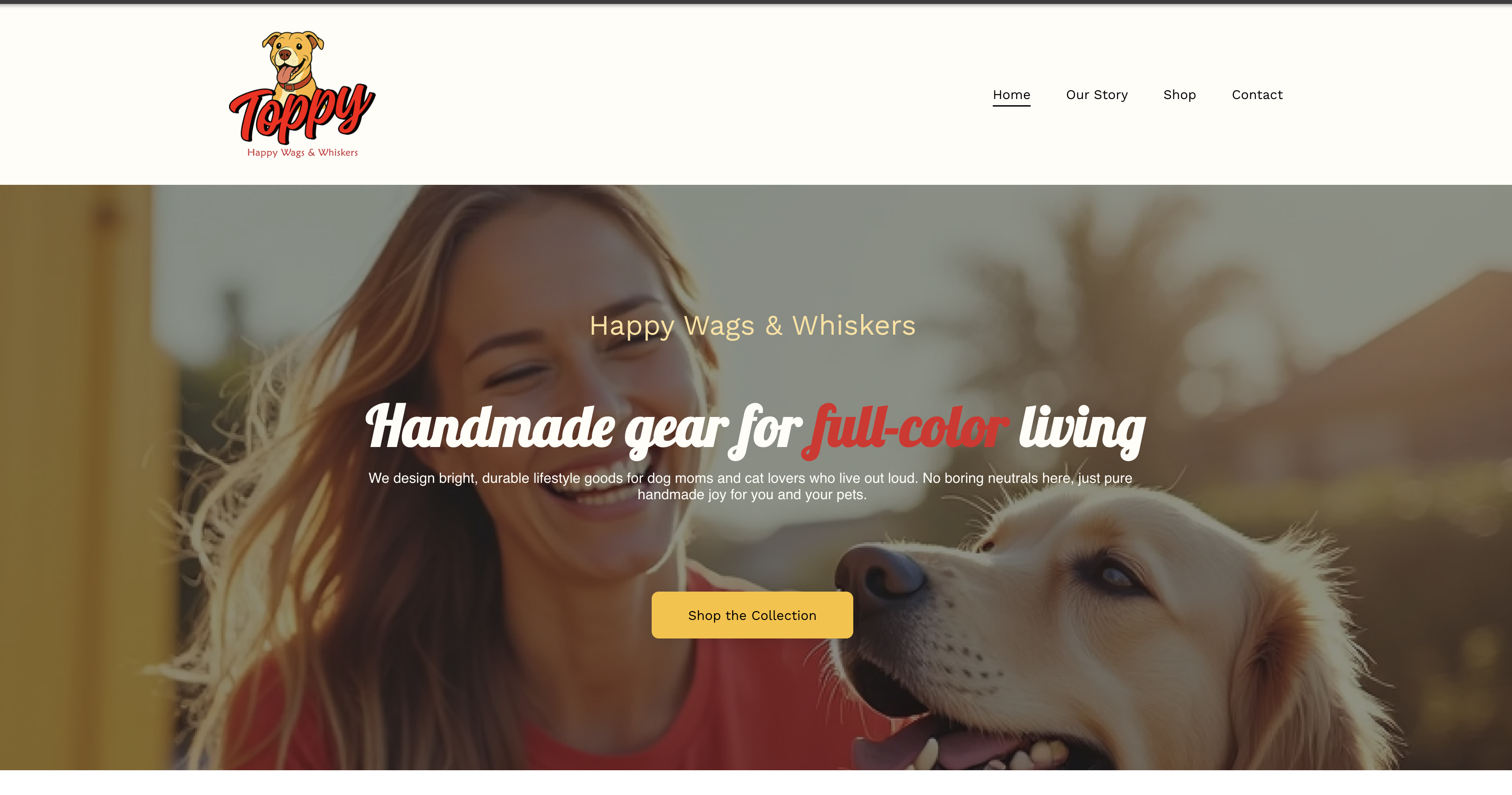 Shop Toppy website